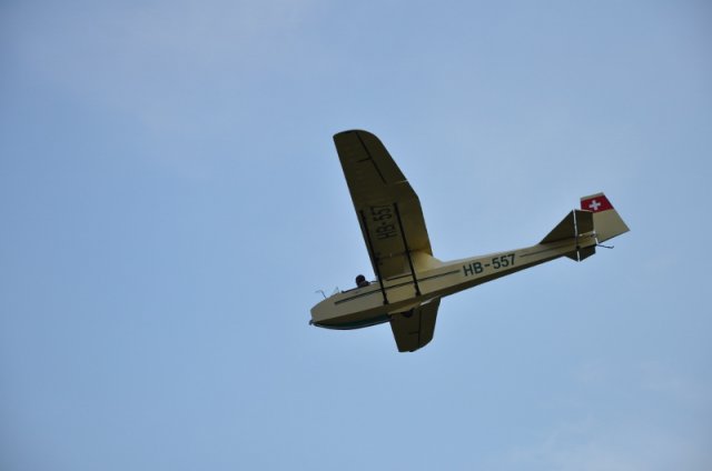 DSC_6084 (800x531)